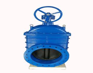 �l�y��ʲô�����F�ܷⲻ���F��